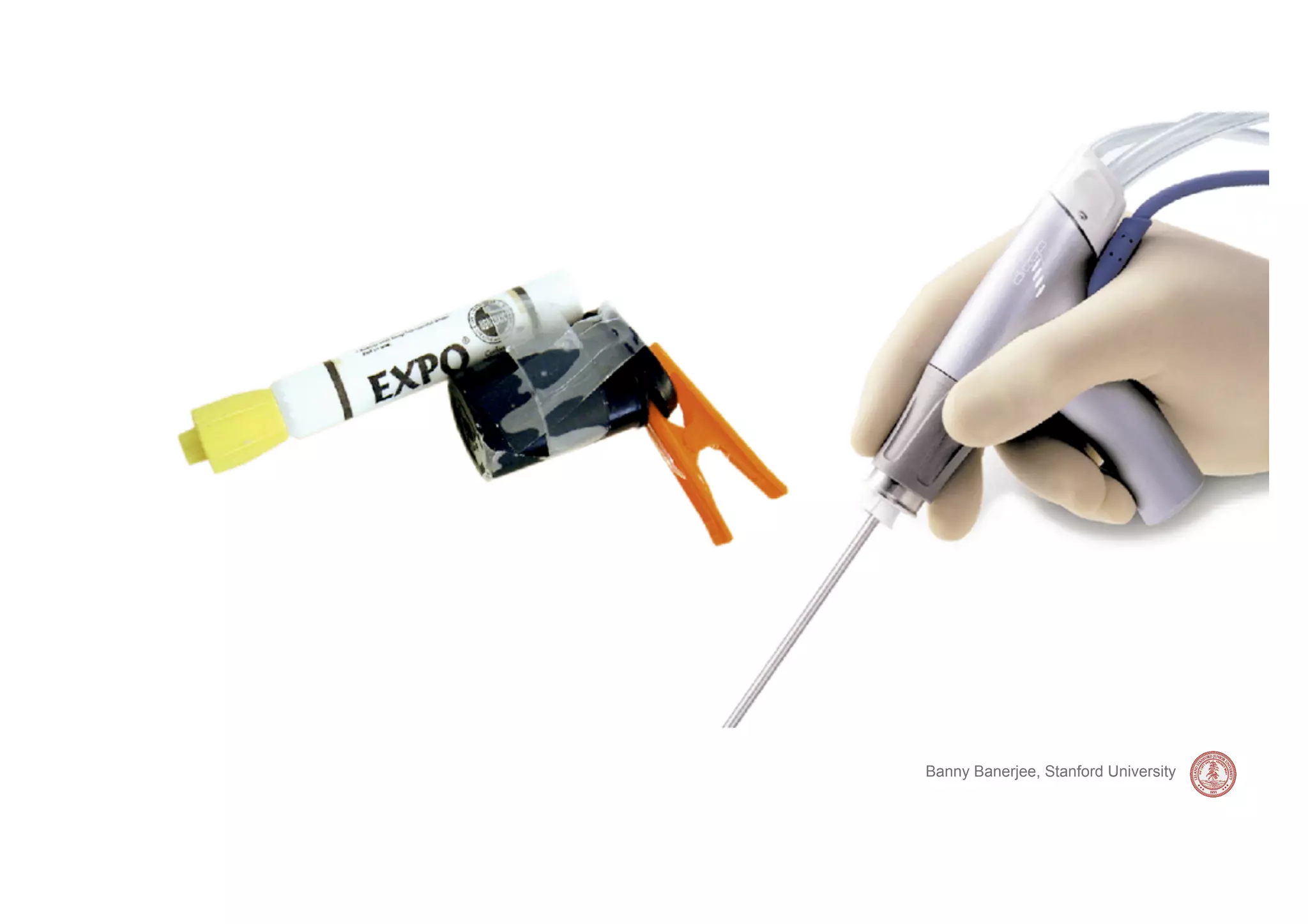 Banny Banerjee, Stanford University
 