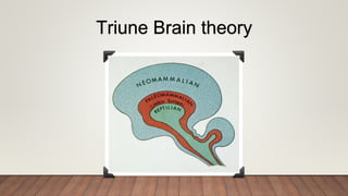 Triune Brain theory
 