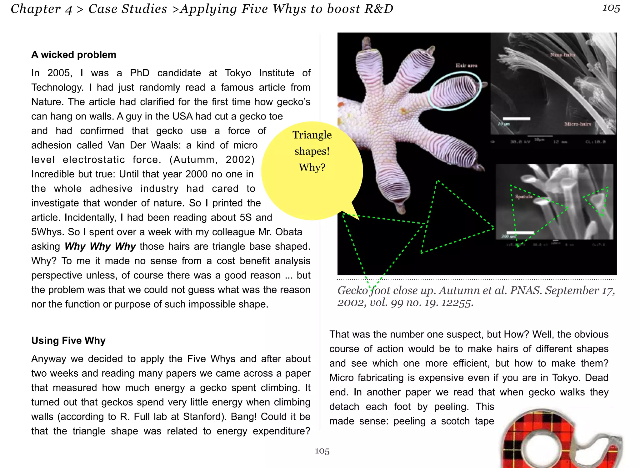 Chapter 4 > Case Studies >Applying Five Whys to boost R&D 105 
A wicked problem 
In 2005, I was a PhD candidate at Tokyo Institute of 
Technology. I had just randomly read a famous article from 
Nature. The article had clarified for the first time how gecko’s 
can hang on walls. A guy in the USA had cut a gecko toe 
and had confirmed that gecko use a force of 
adhesion called Van Der Waals: a kind of micro 
level electrostatic force. (Autumm, 2002) 
Incredible but true: Until that year 2000 no one in 
the whole adhesive industry had cared to 
investigate that wonder of nature. So I printed the 
article. Incidentally, I had been reading about 5S and 
5Whys. So I spent over a week with my colleague Mr. Obata 
asking Why Why Why those hairs are triangle base shaped. 
Why? To me it made no sense from a cost benefit analysis 
perspective unless, of course there was a good reason ... but 
the problem was that we could not guess what was the reason 
nor the function or purpose of such impossible shape. 
Using Five Why 
Anyway we decided to apply the Five Whys and after about 
two weeks and reading many papers we came across a paper 
that measured how much energy a gecko spent climbing. It 
turned out that geckos spend very little energy when climbing 
walls (according to R. Full lab at Stanford). Bang! Could it be 
that the triangle shape was related to energy expenditure? 
That was the number one suspect, but How? Well, the obvious 
course of action would be to make hairs of different shapes 
and see which one more efficient, but how to make them? 
Micro fabricating is expensive even if you are in Tokyo. Dead 
end. In another paper we read that when gecko walks they 
detach each foot by peeling. This 
made sense: peeling a scotch tape 
105 
Gecko foot close up. Autumn et al. PNAS. September 17, 
2002, vol. 99 no. 19. 12255. 
Triangle 
shapes! 
Why? 
 