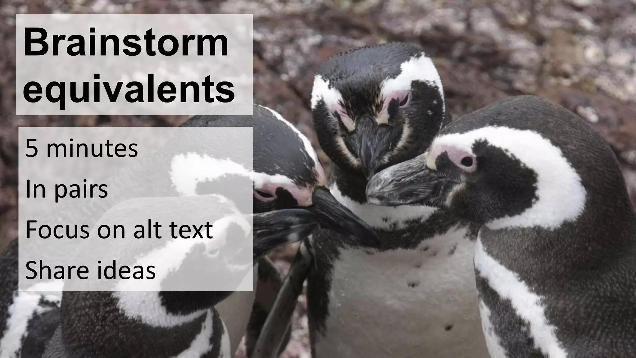 Brainstorm
equivalents
5 minutes
In pairs
Focus on alt text
Share ideas
 