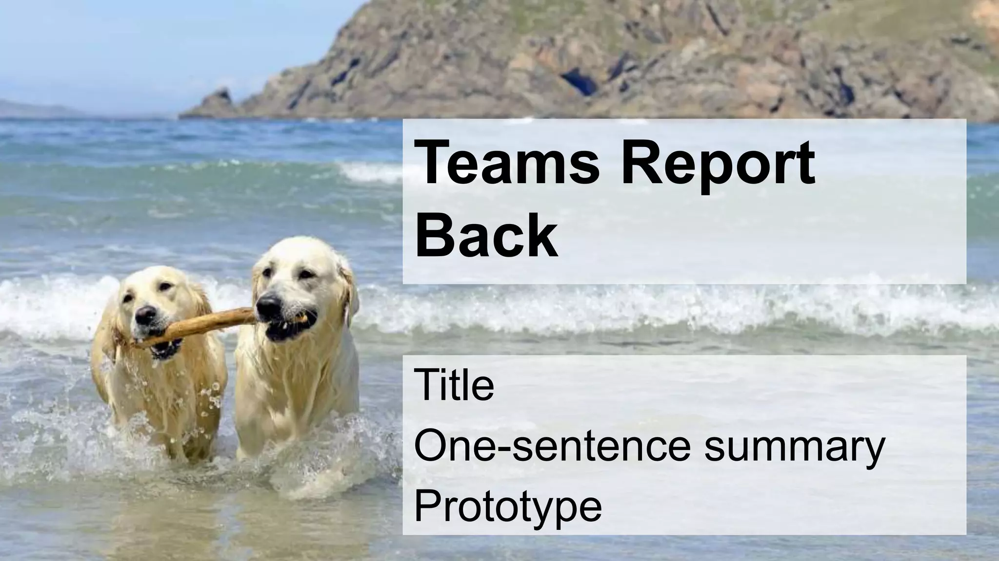 Teams Report
Back
Title
One-sentence summary
Prototype
 