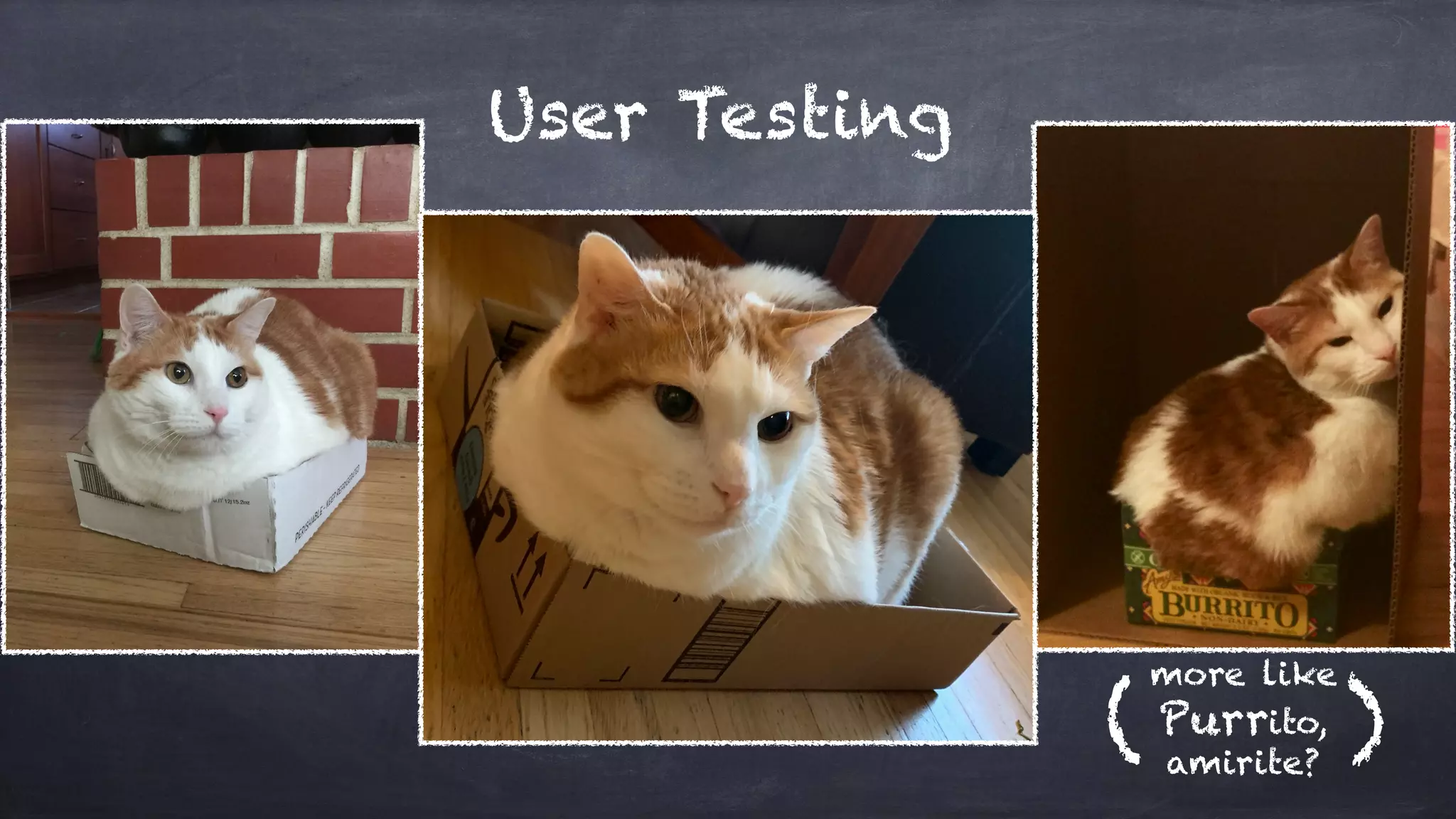 User Testing
( )
more like
Purrito,
amirite?
 