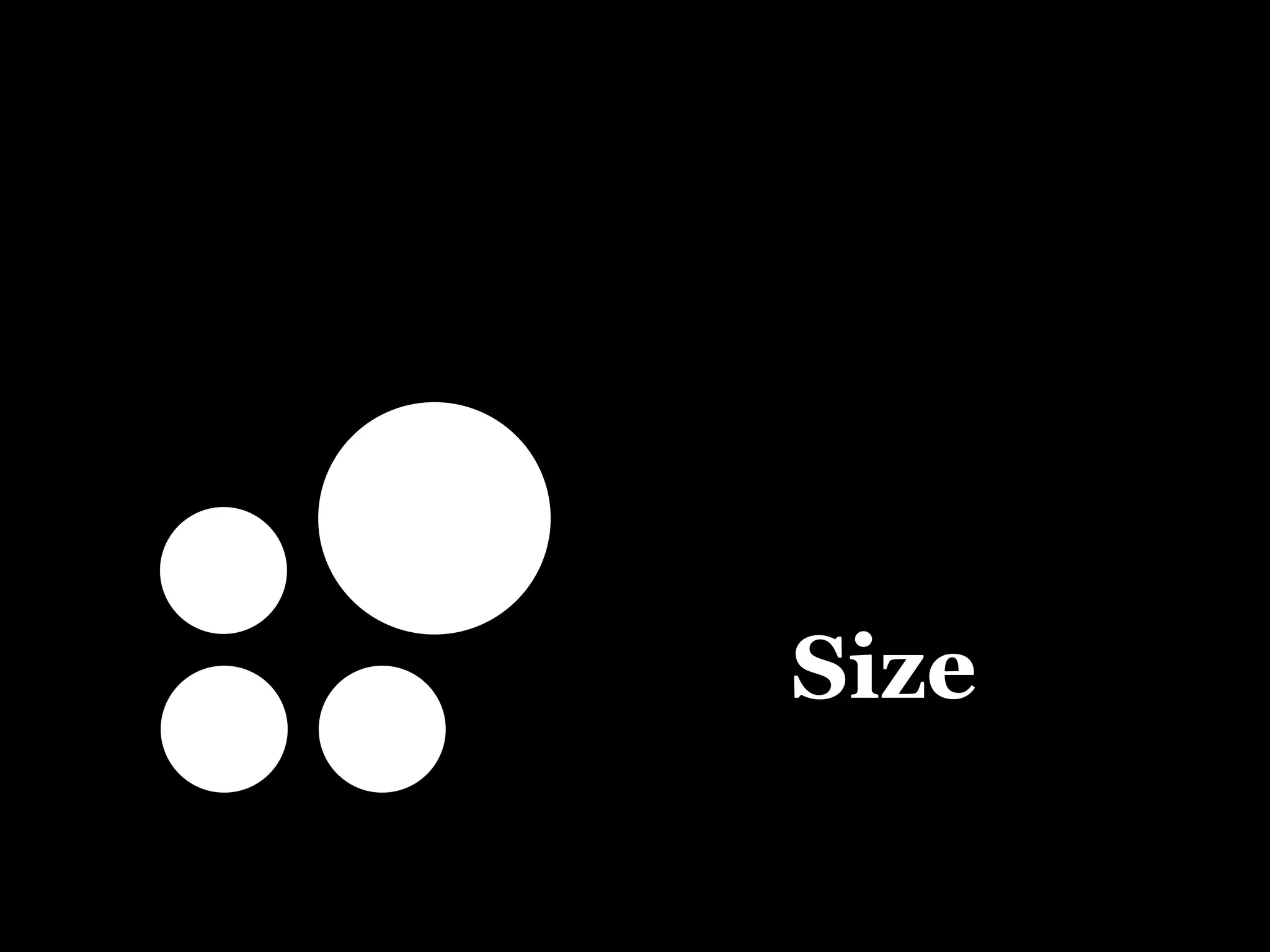 Size 