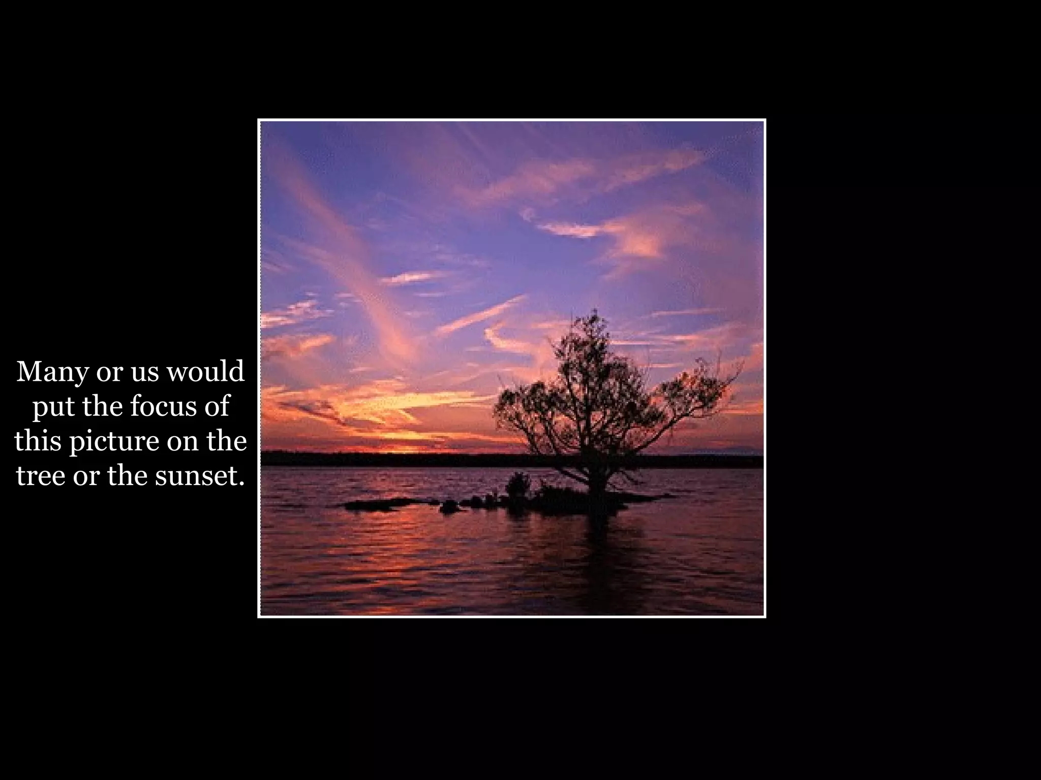 Many or us would put the focus of this picture on the tree or the sunset. 