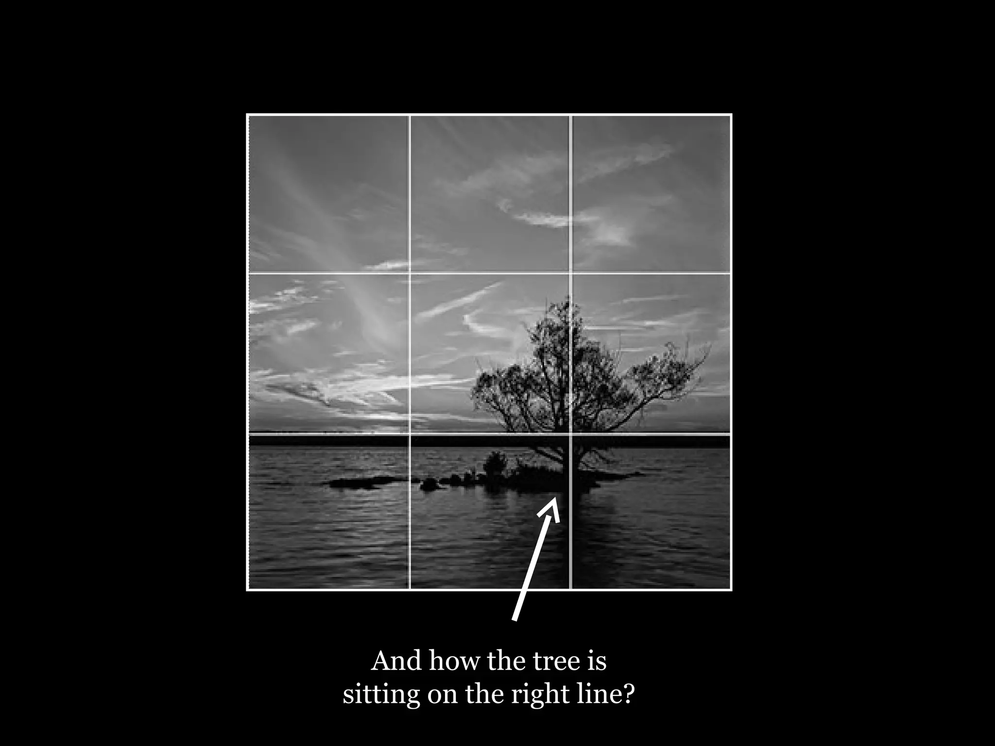 And how the tree is sitting on the right line? 