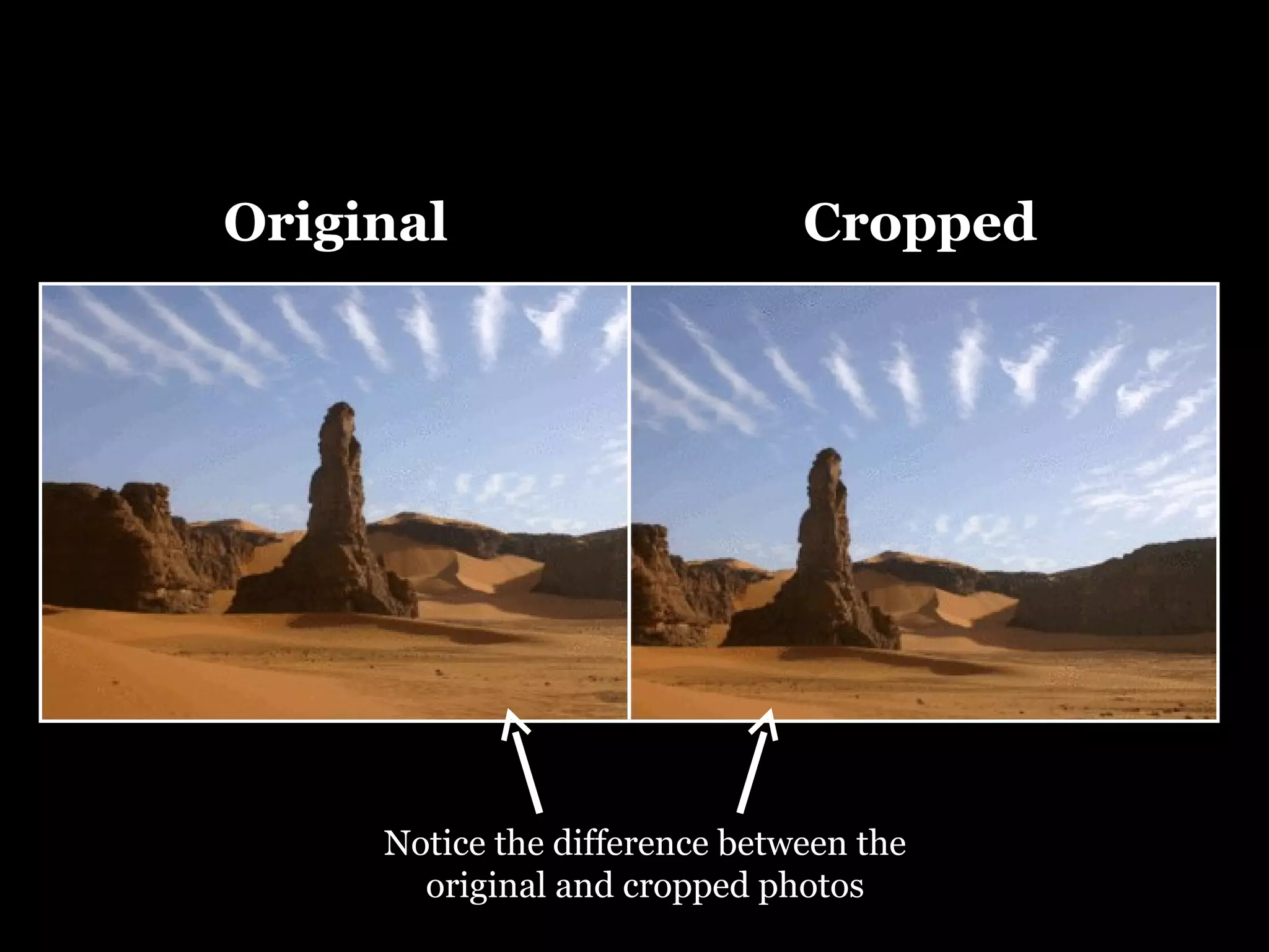 Original Cropped Notice the difference between the original and cropped photos 