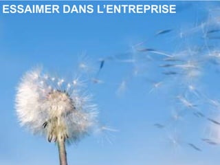 ESSAIMER DANS L’ENTREPRISE
 
