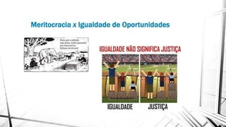Meritocracia x Igualdade de Oportunidades
 