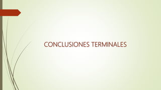 CONCLUSIONES TERMINALES
 