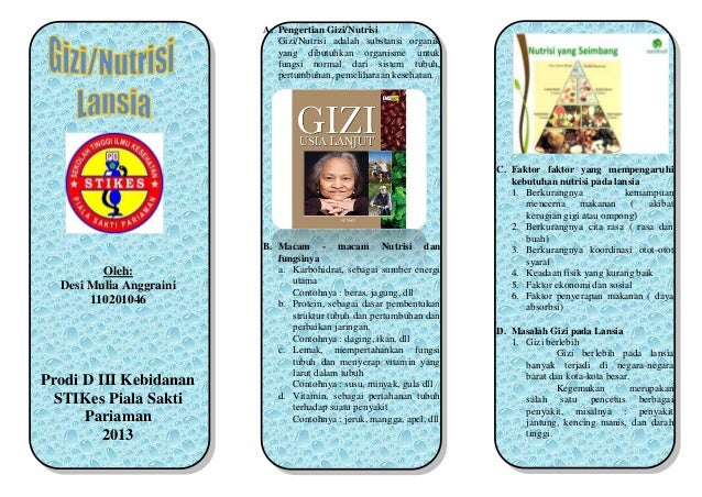 leaflet gizi lansia 