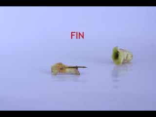 FIN
 