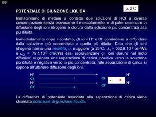 155
POTENZIALE DI GIUNZIONE LIQUIDA
Immaginiamo di mettere a contatto due soluzioni di HCl a diversa
concentrazione senza provocarne il mescolamento, e di poter osservare la
diffusione degli ioni idrogeno e cloruro dalla soluzione più concentrata alla
più diluita.
Immediatamente dopo il contatto, gli ioni H+ e Cl- cominciano a diffondere
dalla soluzione più concentrata a quella più diluita. Dato che gli ioni
idrogeno hanno una mobilità, u, maggiore (a 25°C, uH = 362,8.10-5 cm2/Vs
e uCl = 79,1.10-5 cm2/Vs) essi sopravanzano gli ioni cloruro nel moto
diffusivo: si genera una separazione di carica, positiva verso la soluzione
più diluita e negativa verso la più concentrata. Tale separazione di carica si
oppone all'ulteriore diffusione degli ioni.
H+
Cl-
H+
Cl-
La differenza di potenziale associata alla separazione di carica viene
chiamata potenziale di giunzione liquida.
H+
H+
Cl-
Cl-
- +
p. 275
 