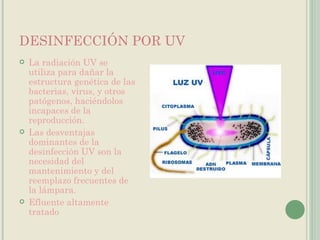 DESINFECCIÓN POR UV La radiación UV se utiliza para dañar la estructura genética de las bacterias, virus, y otros patógenos, haciéndolos incapaces de la reproducción.  Las desventajas dominantes de la desinfección UV son la necesidad del mantenimiento y del reemplazo frecuentes de la lámpara. Efluente altamente tratado 