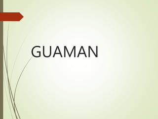 GUAMAN
 