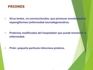 PRIONES
• Virus lentos, no convencionales, que provocan encefalopatías
espongiformes (enfermedad neurodegenerativa).
• Proteínas modificadas del hospedador que puede transmitir la
enfermedad.
• Prión: pequeña partícula infecciosa proteica.
 