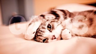 Desing de interação 003