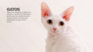 Desing de interação 003