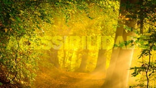 Desing de interação 003