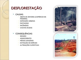 DESFLORESTAÇÃO CAUSAS: ABATE DE ÁRVORES (COMÉRCIO DE MADEIRA) EXPANSÃO URBANA PASTAGENS INCÊNDIOS CHUVAS ÁCIDAS CONSEQUÊNCIAS: EROSÃO AQUECIMENTO MENOS OXIGÉNIO EXTINÇÃO DE ESPÉCIES ALTERAÇÕES CLIMÁTICAS 