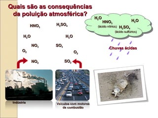 Ind ústria Veículos com motores de combustão NO 2 SO 2 O 2 NO 3 H 2 O O 2 H 2 O HNO 3 (ácido nítrico) (ácido sulfúrico) Chuvas  á cidas Quais s ão  as consequências da poluição atmosférica? H 2 SO 4 SO 3 HNO 3 H 2 SO 4 H 2 O H 2 O 