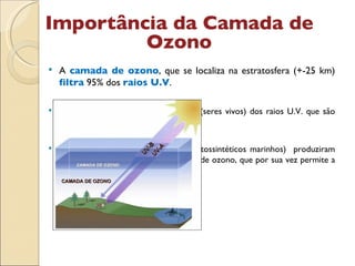 A  camada de ozono , que se localiza na estratosfera (+-25 km)  filtra  95% dos  raios U.V . A camada de ozono protege a Terra (seres vivos) dos raios U.V. que são  mortais  para os seres vivos. As primeiras formas de vida (seres fotossintéticos marinhos)  produziram oxigénio que depois formou a camada de ozono, que por sua vez permite a existência de vida fora dos oceanos… Importância da Camada de Ozono CAMADA DE OZONO UV-B UV-A 