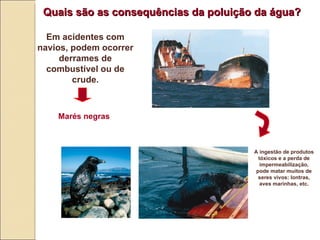 Quais s ão  as consequências da poluição da água? Em acidentes com navios, podem ocorrer derrames de combustível ou de crude. Marés negras A ingestão de produtos tóxicos e a perda de impermeabilizaç ão , pode matar muitos de seres vivos: lontras, aves marinhas, etc. 