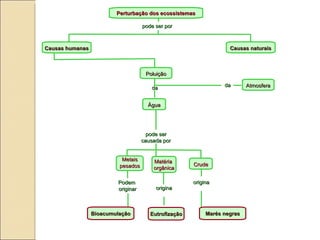 Perturbação dos ecossistemas Marés negras Matéria  orgânica pode ser causada por pode ser por Causas humanas Causas naturais Poluição Atmosfera da da Água Metais pesados Crude Podem  originar Bioacumulação Eutrofização origina origina 