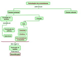 Perturbação dos ecossistemas Solo Pesticidas Pode levar à Construção de edifícios pode ser por Causas humanas Causas naturais Ocupação do território causada por Agricultura Poluição Lixos domésticos e industriais  Entulhos dão origem a Destruição de habitats Desertificação do 