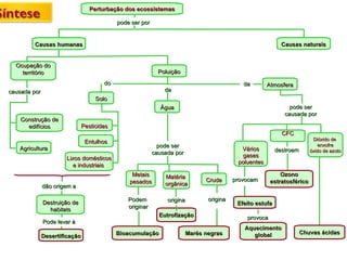 Perturbação dos ecossistemas Construção de edifícios Matéria  orgânica Aquecimento global pode ser por Causas humanas Causas naturais Ocupação do território causada por Agricultura Poluição Solo Lixos domésticos e industriais  Entulhos Pesticidas dão origem a Destruição de habitats Pode levar à Desertificação da Água Metais pesados Crude pode ser causada por Podem  originar Bioacumulação Eutrofização origina Marés negras Atmosfera pode ser causada por origina provocam Efeito estufa destroem Ozono estratosférico Chuvas ácidas da do provoca CFC Dióxido de  enxofre ó xido de azoto Vários gases poluentes 