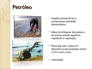 Petróleo Impede entrada de luz e compromete actividade fotossintética; Adere às brânquias dos peixes e de outros animais aquáticos, impedindo a respiração; Penas das aves “colam-se”, deixando-as sem proteção contra o frio e sem o voo; intoxicação 