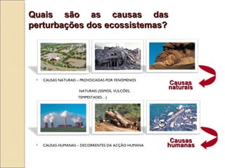 Quais s ão  as causas das perturbações dos ecossistemas? Causas naturais Causas humanas CAUSAS NATURAIS – PROVOCADAS POR FENÓMENOS  NATURAIS (SISMOS, VULCÕES,  TEMPESTADES…) CAUSAS HUMANAS – DECORRENTES DA ACÇÃO HUMANA 