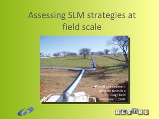 Assessing SLM strategies at field scale Runoff and sediment collector tanks in a no-tillage field experiment, Chile 