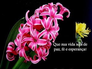 Que sua vida seja de 
paz, fé e esperança! 
 