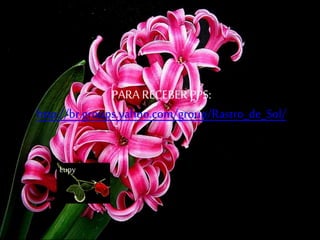 PARA RECEBER PPS: 
http://br.groups.yahoo.com/group/Rastro_de_Sol/ 
Lupy 
