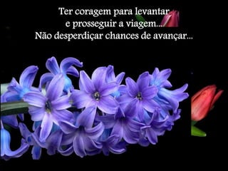 Ter coragem para levantar 
e prosseguir a viagem... 
Não desperdiçar chances de avançar... 
 