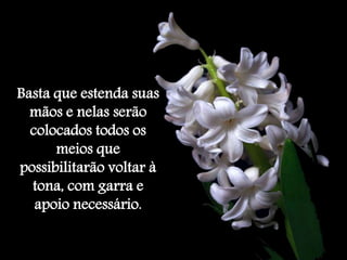 Basta que estenda suas 
mãos e nelas serão 
colocados todos os 
meios que 
possibilitarão voltar à 
tona, com garra e 
apoio necessário. 
 