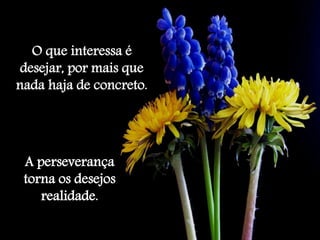 O que interessa é 
desejar, por mais que 
nada haja de concreto. 
A perseverança 
torna os desejos 
realidade. 
 