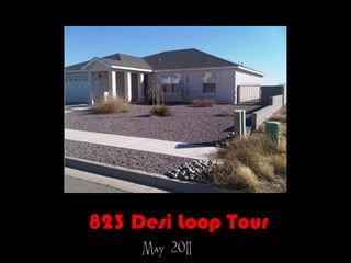 823 Desi Loop Tour
     May 2011
 