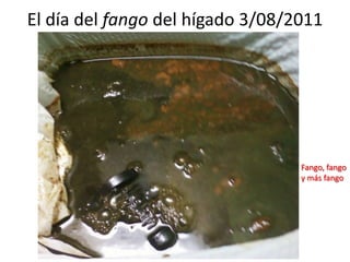 El día del fango del hígado 3/08/2011Fango, fango y más fango