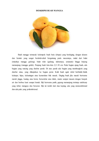 DESKRIPSI BUAH MANGGA
Buah mangga termasuk kelompok buah batu (drupa) yang berdaging, dengan ukuran
dan bentuk yang sangat berubah-ubah bergantung pada macamnya, mulai dari bulat
(misalnya mangga gedong), bulat telur (gadung, indramayu, arumanis) hingga lonjong
memanjang (mangga golek). Panjang buah kira-kira 2,5–30 cm. Pada bagian ujung buah, ada
bagian yang runcing yang disebut paruh. Di atas paruh ada bagian yang membengkok yang
disebut sinus, yang dilanjutkan ke bagian perut. Kulit buah agak tebal berbintik-bintik
kelenjar; hijau, kekuningan atau kemerahan bila masak. Daging buah jika masak berwarna
merah jingga, kuning atau krem, berserabut atau tidak, manis sampai masam dengan banyak
air dan berbau kuat sampai lemah. Biji berwarna putih, gepeng memanjang tertutup endokarp
yang tebal, mengayu dan berserat. Biji ini terdiri dari dua keping; ada yang monoembrional
dan ada pula yang poliembrional.
 