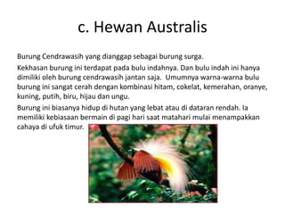 c. Hewan Australis
Burung Cendrawasih yang dianggap sebagai burung surga.
Kekhasan burung ini terdapat pada bulu indahnya. Dan bulu indah ini hanya
dimiliki oleh burung cendrawasih jantan saja. Umumnya warna-warna bulu
burung ini sangat cerah dengan kombinasi hitam, cokelat, kemerahan, oranye,
kuning, putih, biru, hijau dan ungu.
Burung ini biasanya hidup di hutan yang lebat atau di dataran rendah. Ia
memiliki kebiasaan bermain di pagi hari saat matahari mulai menampakkan
cahaya di ufuk timur.
 