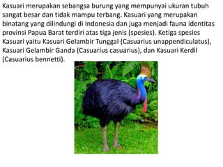 Kasuari merupakan sebangsa burung yang mempunyai ukuran tubuh
sangat besar dan tidak mampu terbang. Kasuari yang merupakan
binatang yang dilindungi di Indonesia dan juga menjadi fauna identitas
provinsi Papua Barat terdiri atas tiga jenis (spesies). Ketiga spesies
Kasuari yaitu Kasuari Gelambir Tunggal (Casuarius unappendiculatus),
Kasuari Gelambir Ganda (Casuarius casuarius), dan Kasuari Kerdil
(Casuarius bennetti).
 
