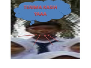 Deskriptif tentang indonesia