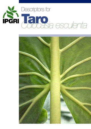 TARO-Eng-cov   10-12-1999 16:29   Pagina 1




                        Descriptors for

                        Taro a esculenta
                        Colocasi
 