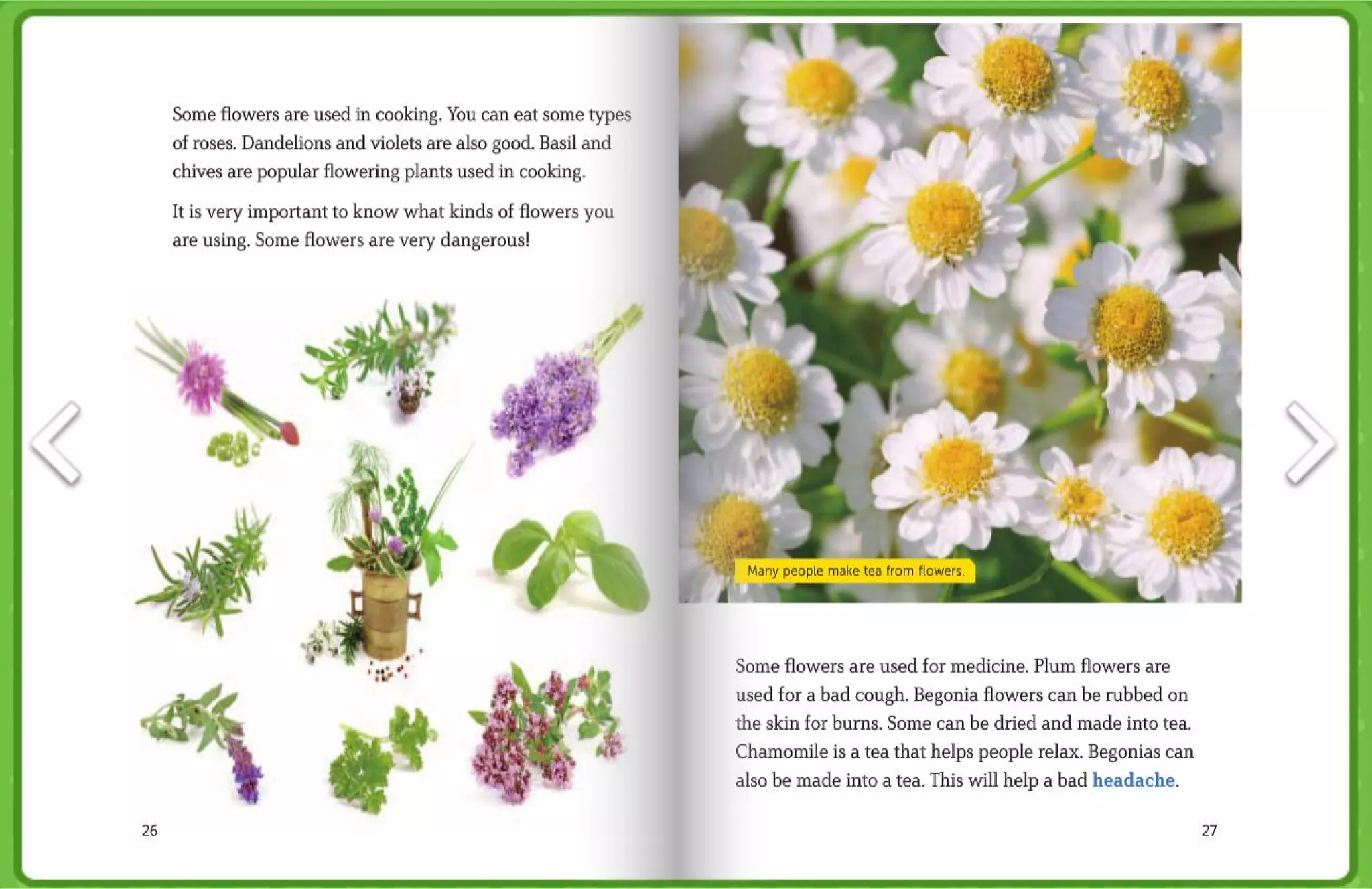 Fun Facts about Flowers | PPT