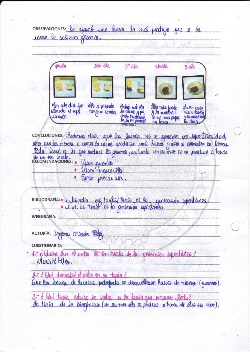 Teoria espontanea resumen_teorias