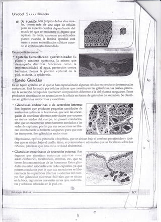 Unidod §**u* Biotopío 
d. De trsns¡üón:Son propios de las vías rena- 
1es, tienen más de una capa de células 
pero su. aspecto cambia dependiendo del 
. estado en que se encuentre el,órgano que 
tapizan. Es deci:; aparec€n estratificados 
planos cuando la lámina epitelial está 
tensa y como estratificados cúbicos cuan-do 
el epitelio está distendido. 
,._:-ryffar"s,.secas: :': ''' 
,i 
¡,:Ep-itétrio'Estratif ic ado queratinizado : Es 
,"pliino:y contiene queratina, la misma que 
,:deiqémpeña distintas funciones como la 
..'intpérmeabilidad a1 agua, protección contra 
.'báiterias. Forma la porción epitelial de 1a 
' pibl, es decir, ia epidermis. 
Glondulor 
E§un tejido epitelial en el que se han especialüado algunas células en producir determinadas 
sustancias. Está formado por células cúbicas que constituyen las g1ándulas, las cuales, produ-ce¡ 
r la secreción de líquidos que tienen composición diferente a la del plasma sanguíneo. Estos 
pioductos sintetizados se acumulan en la céiu1a en forma de gránulos de secreción. Se clasifi-can 
en g1ánduias endocrinas y exocrinas. 
. Glándulas endosrinas o de secreción interna: 
Son órganos que producen pequeñas cantidades de 
sustancias químicas u hormonas/ que son las encar-gadas 
de coordinar diversas actividades que ocurren 
en ciertos tejidos dei cuerpo, no poseen conductos, 
sino que se encuenkan eskechamente asociadas a las 
redes de capilares, por lo que sus secreciones se libe-ran 
directamente al torrente sanguíneo para que este 
1as kansporte. Son glándulas endocrinas: 
Hipotálamo, epífisis, piluitaria o hipófisis, que se ubi.can bajo el cerebro; paratiroides y tiroi-des 
que se silúan bajo e1 cuello; timo, suprarrenales o adrenales que se localizan sobre los 
riñones; páncreas que está en ia cavidad abciominal. 
' Glándulas exocrinas o de secreción externa: Son 
órganos que sintetizan sustarcias químicas como ' 
ácido clorhÍdrico, bicarbonalo, enzimas, etc., que no 
tienen 1as características de 1as hormonas. Estas giárr-dulas 
no están asociaclas con redes capilares, ya que 
poseen conductos por io que sus secreciones se libe-ran 
hacia 1as superfi.cies i.ntern¿-is o extetnas del cuer-po. 
Scn giándulas exocrinas: Saiivales que se siiúan 
en la boca, la.grimaies que esián en 1os ojos, sud.crííe-ras 
y sebáceas ubicadas en la piel, etc. 
,] 
jJ 
I 
j 
l 
? í 
J l 
l 
-i. 
fc 
é. 
Snímot 
'::lr? 
 