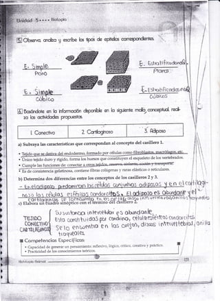 E. tir$te 
Ptono 
L, Smoh 
cóbico 
E- Estoctrfi'm 
,f* fshoh§icdm 
C¡Jt¡cos 
1 
I 
$ 
É 
E 
i 
I: 
§ 
ri 
F= 
)= 
F-=i 
)*i 
),- 
)¡ 
ts 
D 
; 
)) 
ll 
Dl 
F, 
! 
'l 
ffiñasffite en b hfrymcctin chponibh ar¡ h s{pÉanie r@,csr@lxd red 
z<: k scttv*e ryaPrestos 
ILOfI€üíVO I L r.ll'¡rr¡rr$rltLr;'q',' I ""'-'f:--* l ii 
:ii i,: 
subraya las características que coffespondan al concepto del casillero f 
:iiji 1t i ¿¡i li 
. T"iido o.r" ,u d"rirra dei enilodermo, formado por células como fibrob]asto§.racrófagos.etc' i ! , ' .ffi-¡i¿;'ily rigá.Ii6ñái* r-'*ror q,r"ffitiffilesqueleto de los vertebrados. .' , ' 
.r Cumple ias funciones de: conectq ?*q- J i i : ,.-**--- .--: 
ígs ¿e consistencia.gelatinosa contiene fibras colágenas y raras elásticas o reticulares. i i i i 
b) Determina dos diferencias entre los conceptos de los casilletas 2y 3. : i iri¡^i, 
dipouns J en ecoltiilqqi- 
)ü [c] tdhJlo§ e§#rims *nruJoteitbs ¡ Fl dip?$o 9§ F q,e[ - 
ffihmf intrrurttthr bxttr¡*'**[e' 
uf"t$*a?i%L?fitff? 
b¡ sr¡:inncn rnter$hh* t* abuldei&k", 
üfi[rlL&ül$ S;l;;o*uof,o '* n tos mi*3ur, disrms ¡ptttÜtltebml q §nibim 
¿. 
tt uquQ0[e¿ 
Competencias [spec íf icos: 
. Capacidad de generar un pensamiento: reflexivo, lógico, crítico, creativo,v práctico' 
. Practicidad de los conocimientos teóricos' 
Hisf otoi:ís,. Eaimr¡t,, ++ 
"-,/ 
TEJIDO 
LoN§tllvo 
l': 
l. 
a) Subraya 1' 
