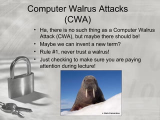 Computer Walrus Attacks
       (CWA)
 • Ha, there is no such thing as a Computer Walrus
   Attack (CWA), but maybe there should be!
 • Maybe we can invent a new term?
 • Rule #1, never trust a walrus!
 • Just checking to make sure you are paying
   attention during lecture!
 