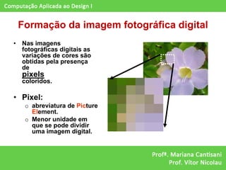 Formação da imagem fotográfica digital
•   Nas imagens
    fotográficas digitais as
    variações de cores são
    obtidas pela presença
    de
    pixels
    coloridos.

• Pixel:
     o abreviatura de Picture
       Element.
     o Menor unidade em
       que se pode dividir
       uma imagem digital.
 